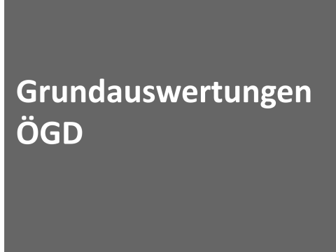 Logokachel mit Text "Grundauswertungen ÖGD"