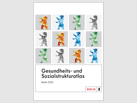 Miniaturfoto der Publikation "Gesundheits- und Sozialstrukturatlas"