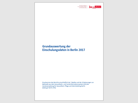 Miniaturfoto der Publikation "Grundauswertung Einschulungsdaten"