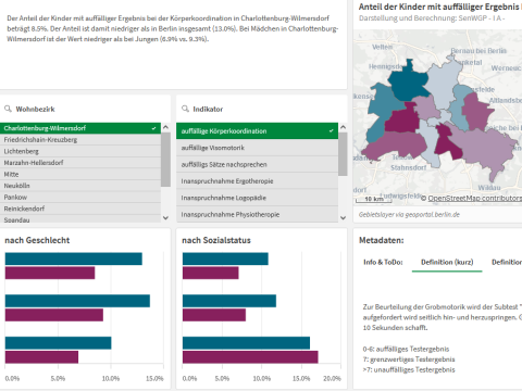Miniaturfoto der Publikation ESU-Dashboard